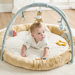 Image showing the Felix & Leo Baby Gym, Blue product.
